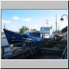 hanse_sail_2003_22.JPG