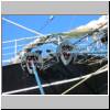 hanse_sail_2003_31.JPG